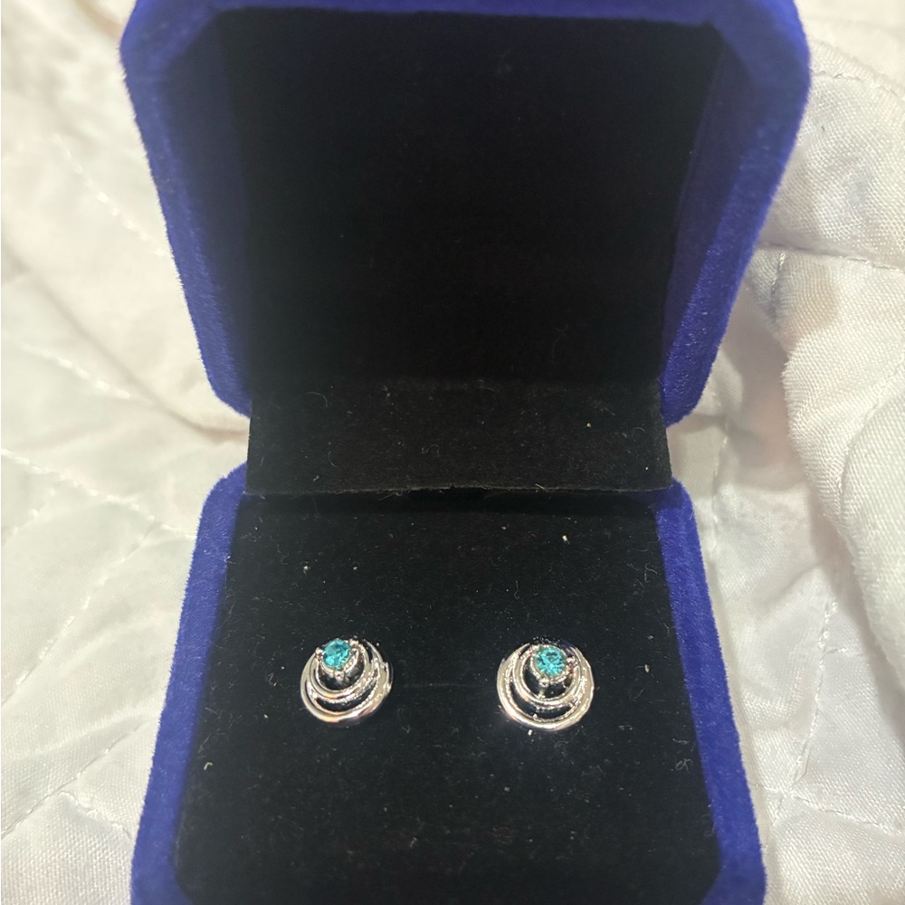 Elegant Silver and Turquoise Earrings